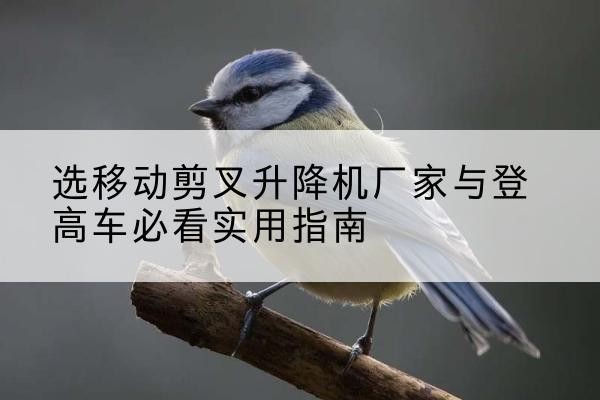 旺苍电动升降机厂家-选移动剪叉升降机厂家与登高车必看实用指南