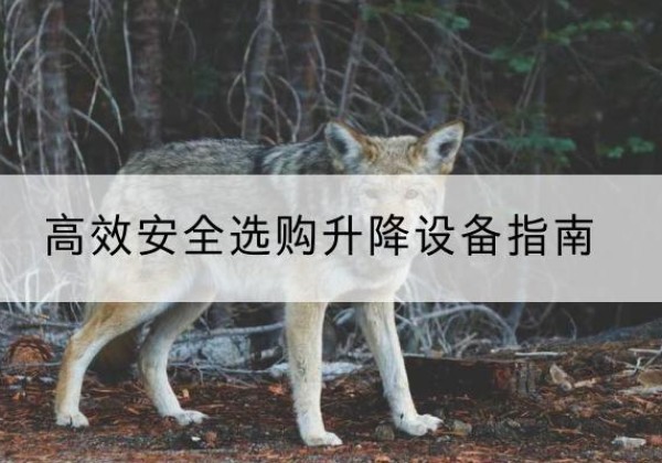 旺苍升降货梯厂家推荐-*安全选购升降设备指南