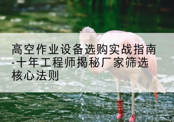 旺苍剪叉式升降机厂家-高空作业设备选购实战指南-十年工程师揭秘厂家筛选核心法则
